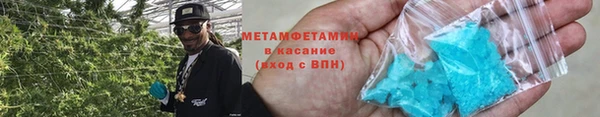 прущие грибы Устюжна