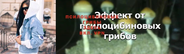 гидропоника Пестово