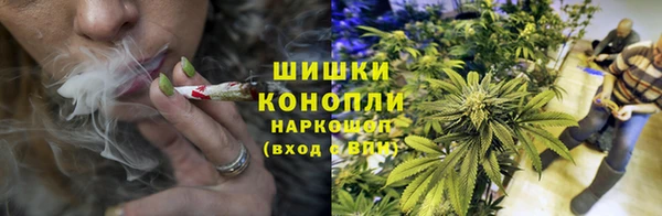 2c-b Пересвет