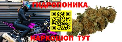 mdpv Апрелевка