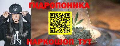 прущие крисы Аргун