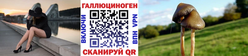 mega рабочий сайт  где купить наркоту  Ахтубинск  Псилоцибиновые грибы ЛСД 