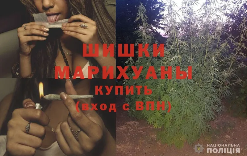 где можно купить наркотик  Ахтубинск  Конопля Ganja 